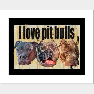 I love pit bulls Posters and Art